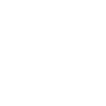 icon1
