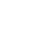 icon2